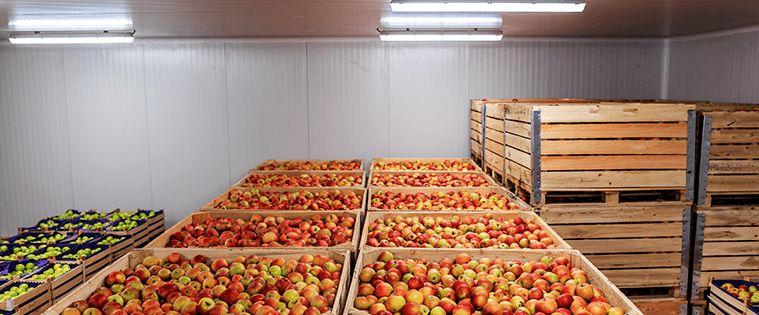 Conservación De Alimentos